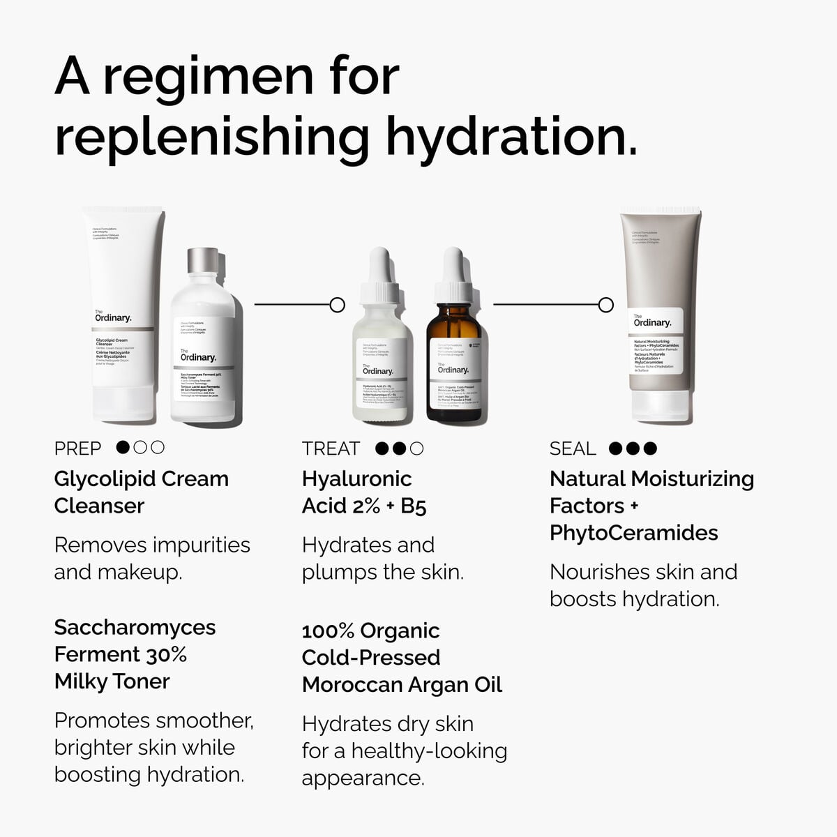 Organic Cold-Pressed Moroccan Argan Oil Daily Treatment Ritual A5