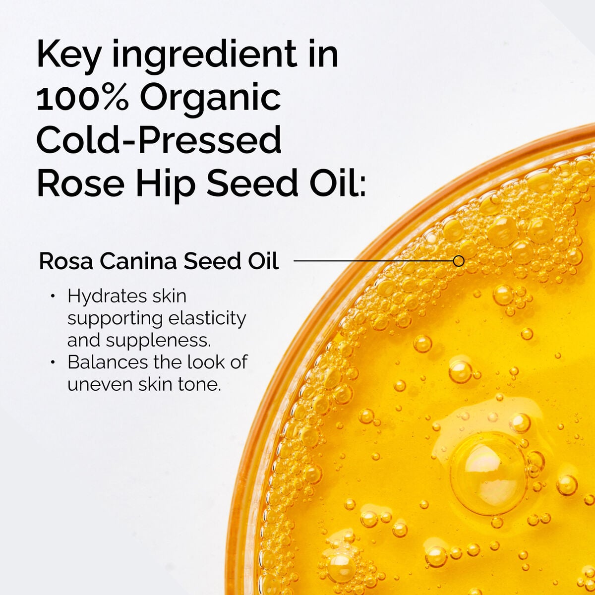 Organic Cold-Pressed Rose Hip Seed Oil Nourishing Face Oil I8