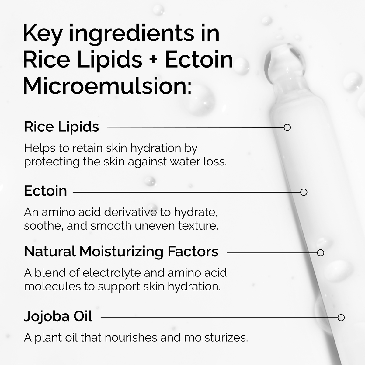 Rice Lipids + Ectoin Microemulsion Curated Care Set H6