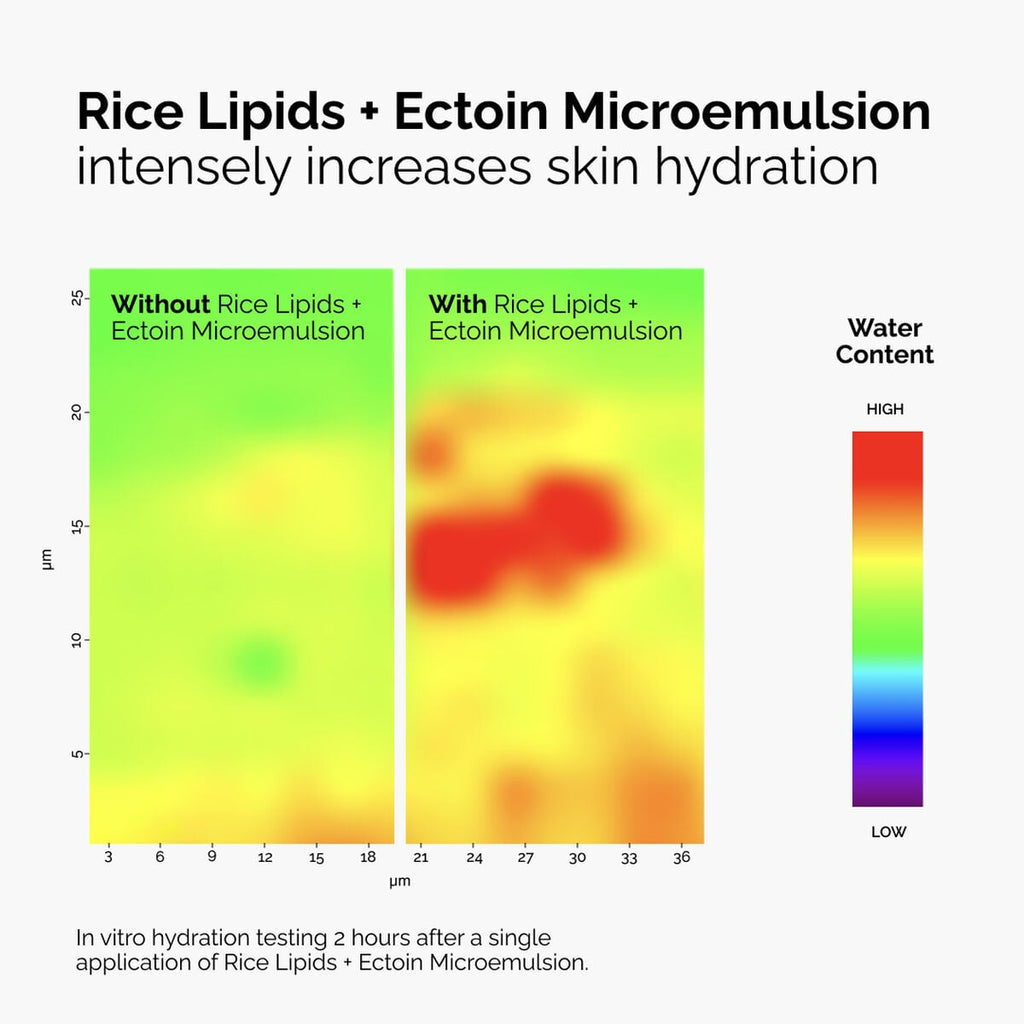 Rice Lipids + Ectoin Microemulsion Curated Care Set H6